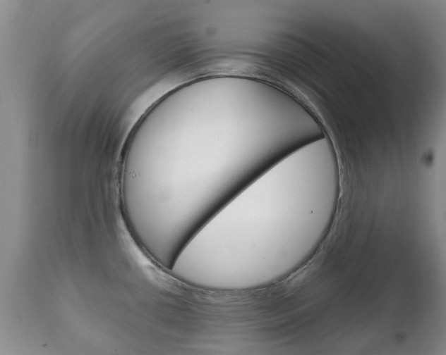 X0000111231434200907021013
