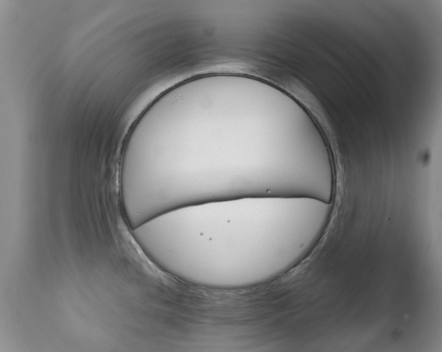 X0000111231436200907021013
