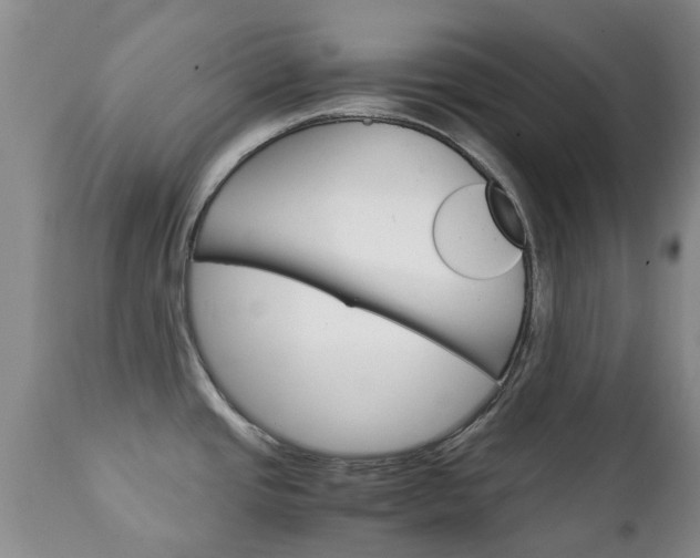 X0000111231437200907021013