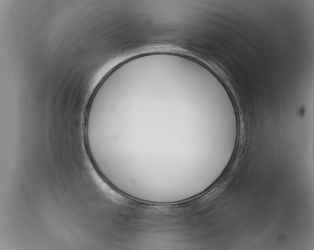 X0000111231438200907021013