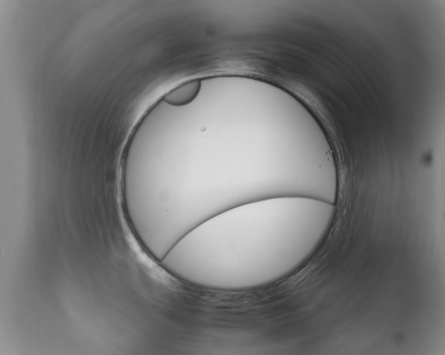 X0000111231439200907021013