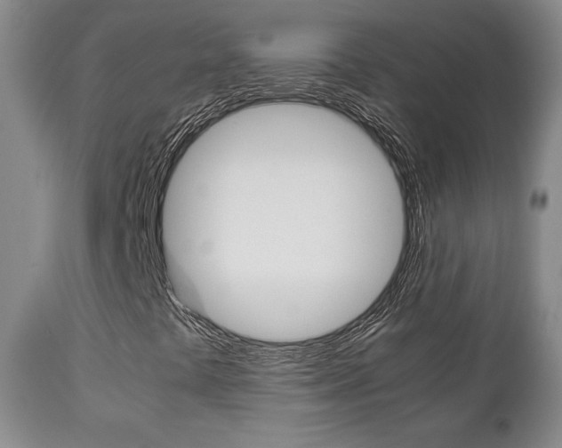 X0000111231441200907021012