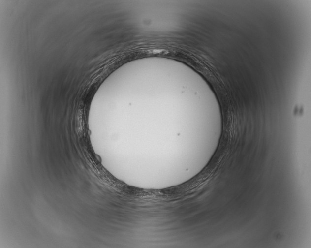 X0000111231442200907021012