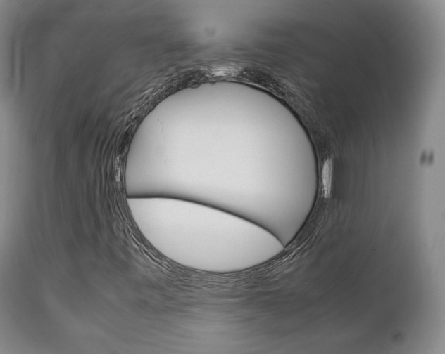 X0000111231443200907021012