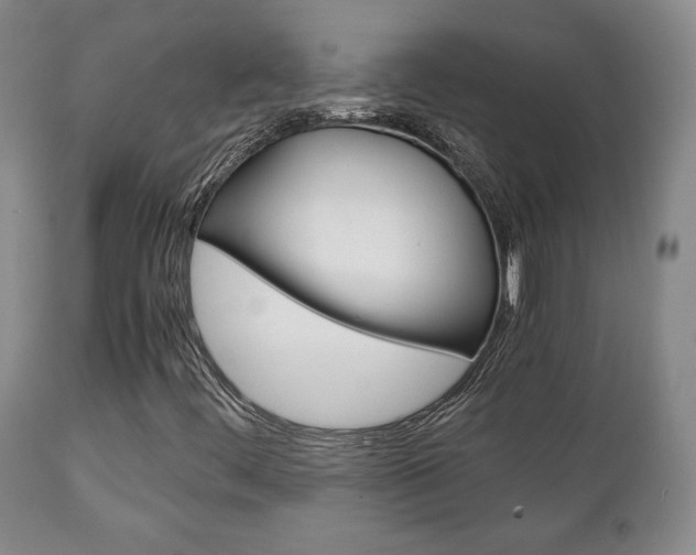 X0000111231444200907021012
