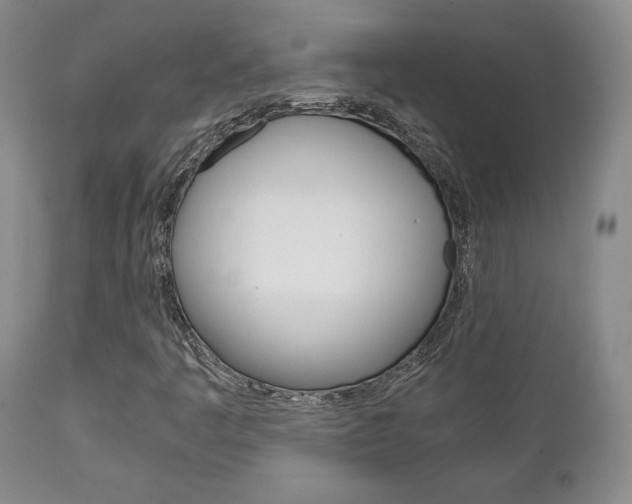 X0000111231445200907021012