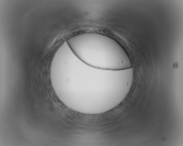 X0000111231447200907021012