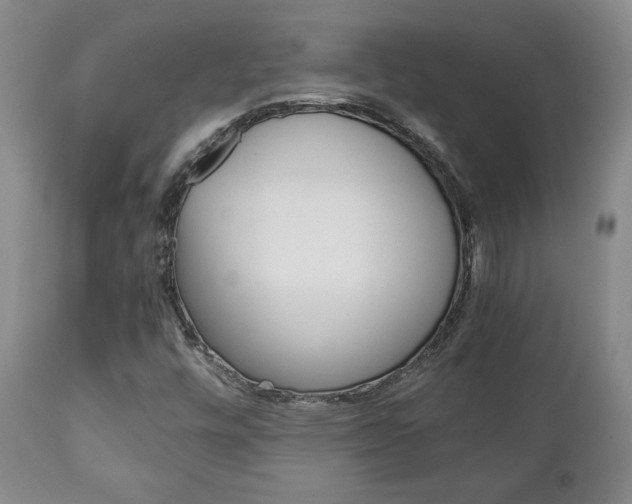 X0000111231448200907021012