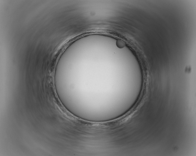 X0000111231449200907021012