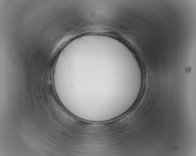 X0000111231451200907021012