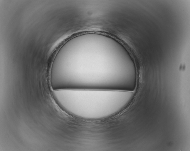 X0000111231452200907021012