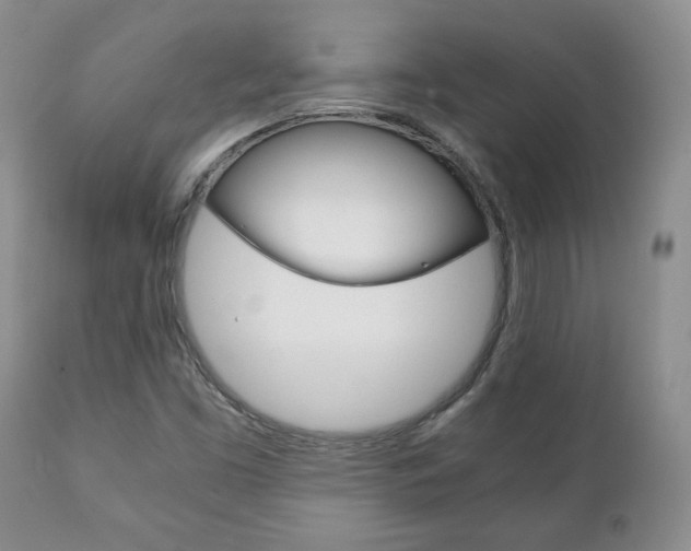 X0000111231453200907021012