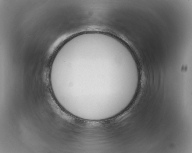 X0000111231454200907021012