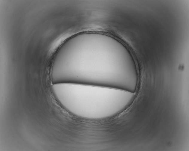 X0000111231455200907021012
