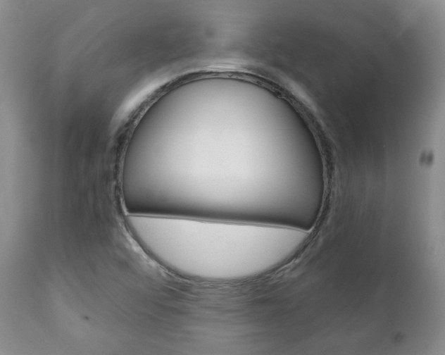 X0000111231456200907021012