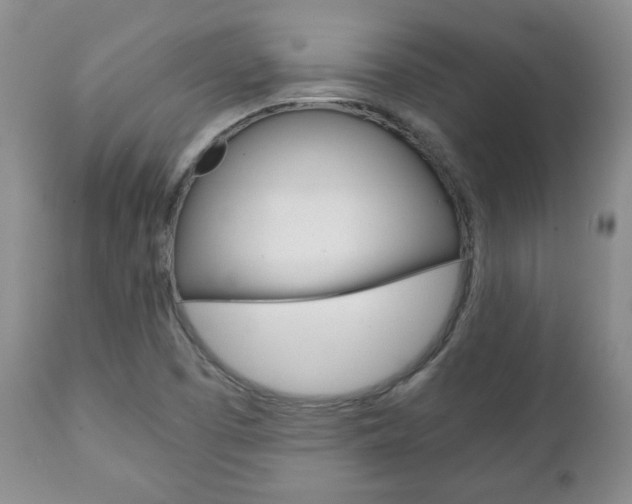 X0000111231457200907021012