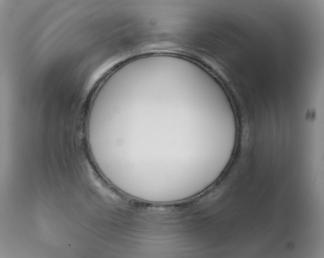 X0000111231458200907021012