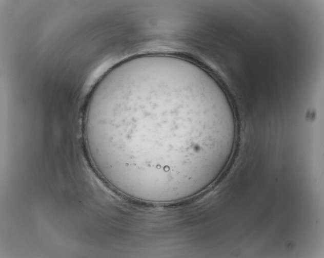 X0000111231459200907021012