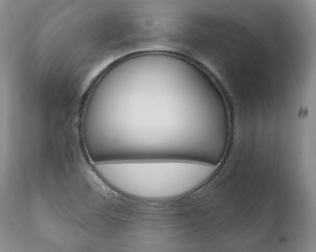 X0000111231460200907021012