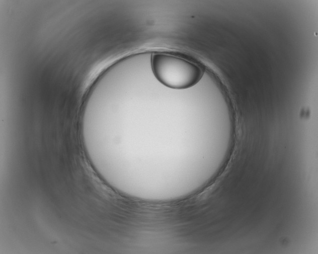 X0000111231461200907021012