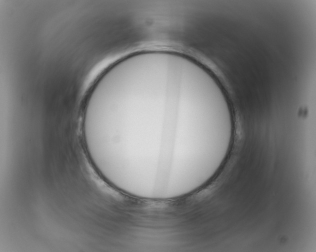 X0000111231462200907021012