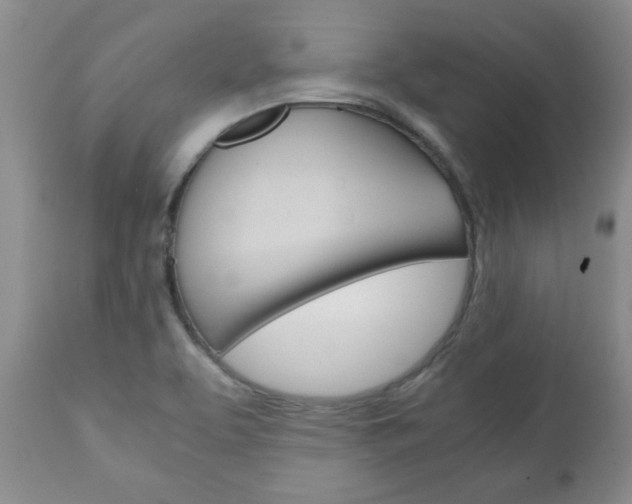 X0000111231463200907021012