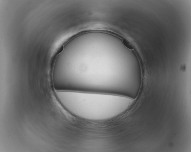 X0000111231464200907021012