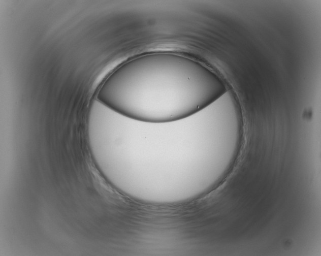 X0000111231465200907021012