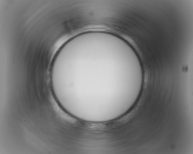 X0000111231466200907021012