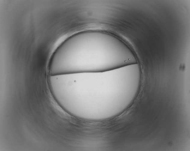 X0000111231467200907021012