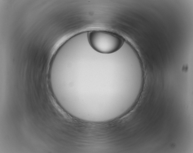X0000111231469200907021012