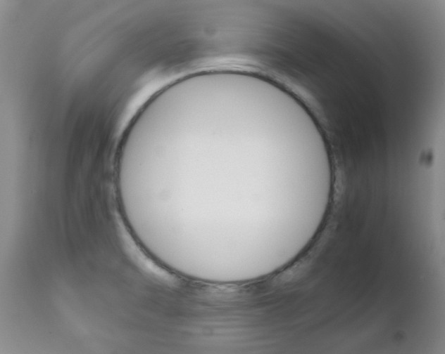 X0000111231470200907021012