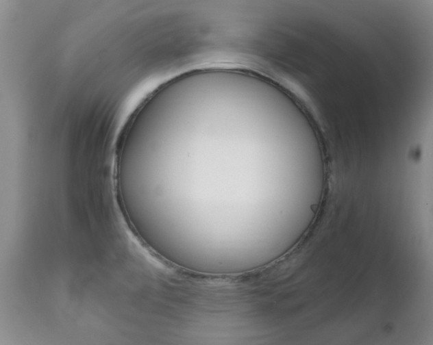 X0000111231472200907021012