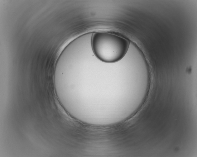 X0000111231473200907021012