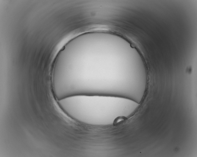 X0000111231475200907021012