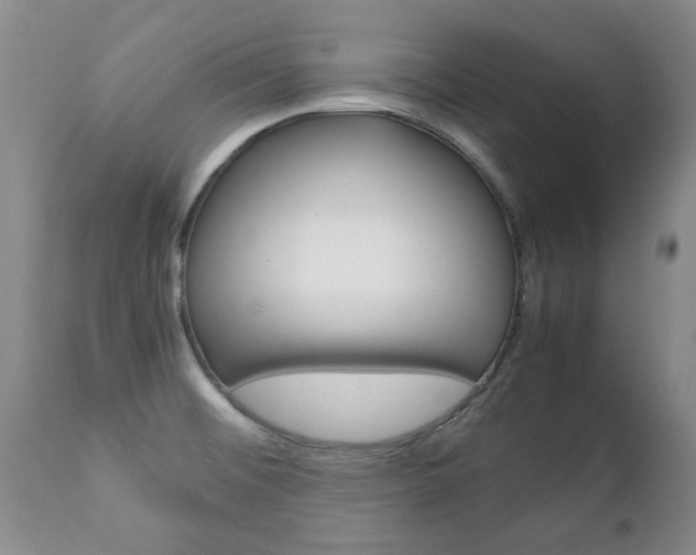X0000111231476200907021012