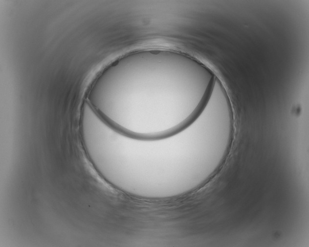 X0000111231477200907021012