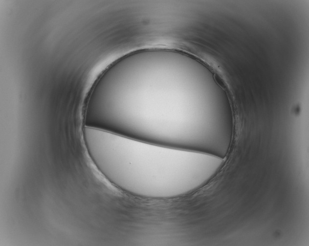 X0000111231480200907021012