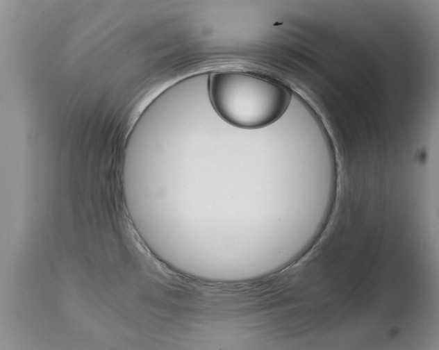 X0000111231481200907021012