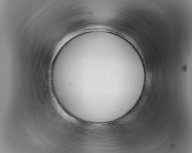 X0000111231482200907021012
