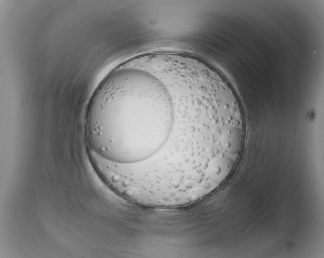 X0000111231483200907021012