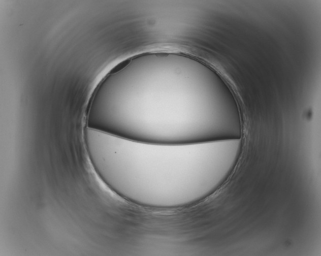 X0000111231484200907021012