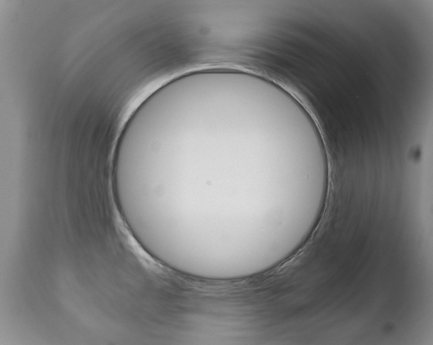 X0000111231485200907021012