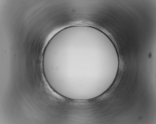 X0000111231486200907021012