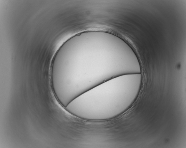 X0000111231487200907021012