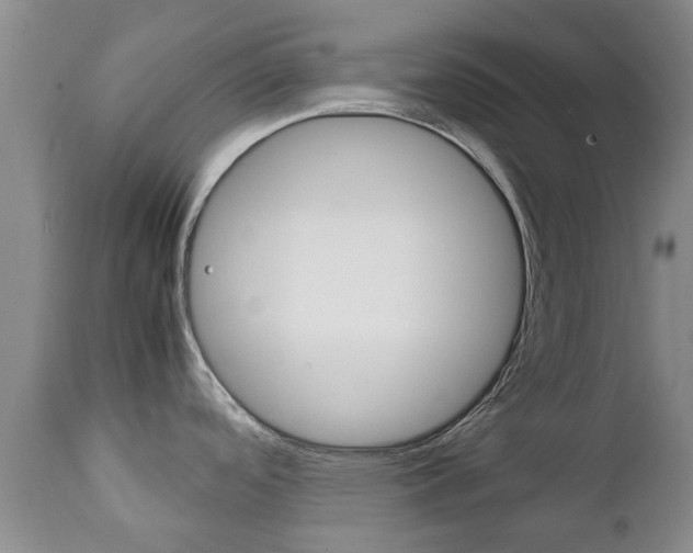 X0000111231488200907021012