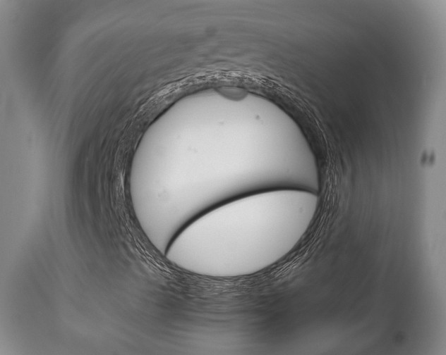 X0000111231489200907021011
