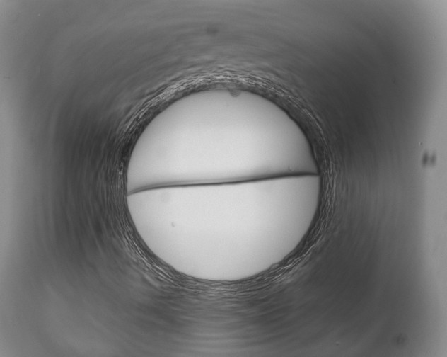 X0000111231490200907021011