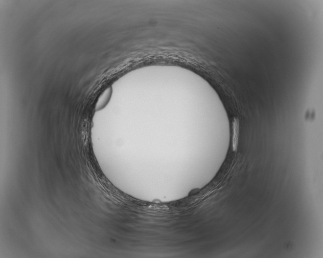 X0000111231491200907021011