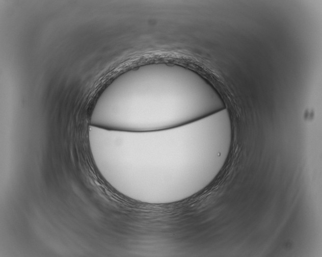 X0000111231492200907021011